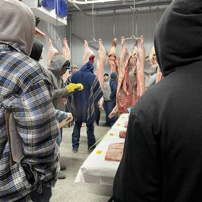 Meat judging 22 23
